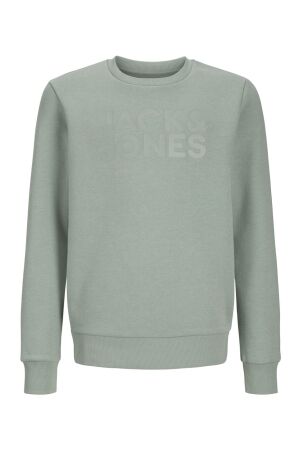 jack & jones junior 12268888 Iceberg Green